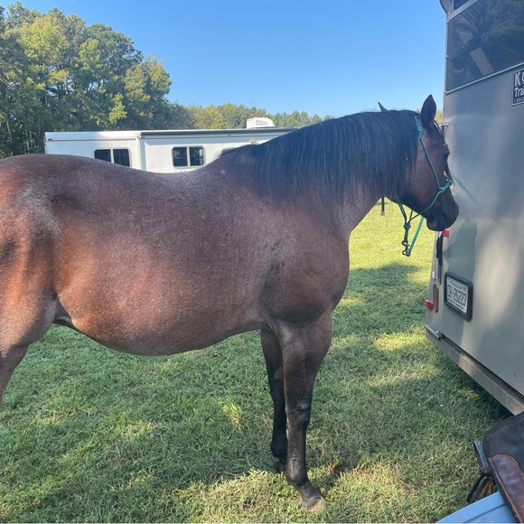 ‼️‼️ 1st Show Oct 31st 7:30 PM EST  ‼️❣️ - Picture 3 of 7